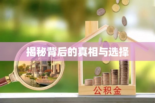 绥棱揭秘背后的真相与选择