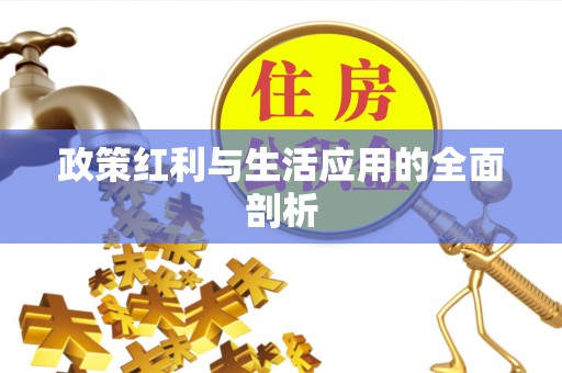 绥棱政策红利与生活应用的全面剖析