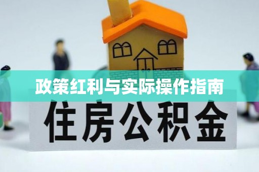 绥棱政策红利与实际操作指南