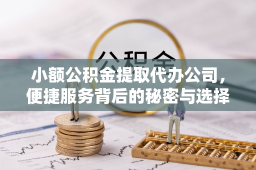 绥棱小额公积金提取代办公司，便捷服务背后的秘密与选择指南