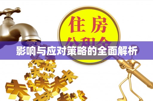 绥棱影响与应对策略的全面解析