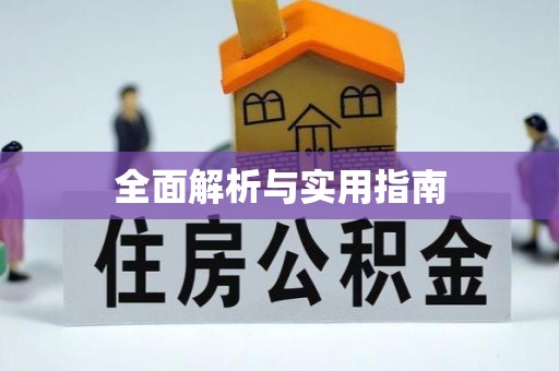 绥棱全面解析与实用指南
