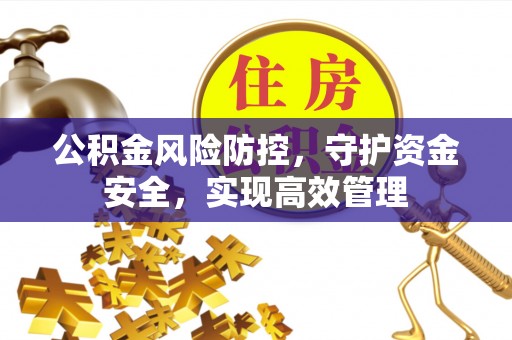 绥棱公积金风险防控，守护资金安全，实现高效管理