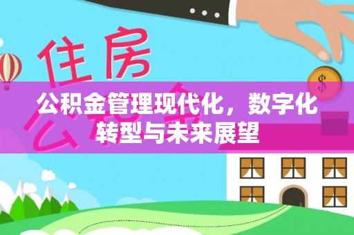 绥棱公积金管理现代化，数字化转型与未来展望