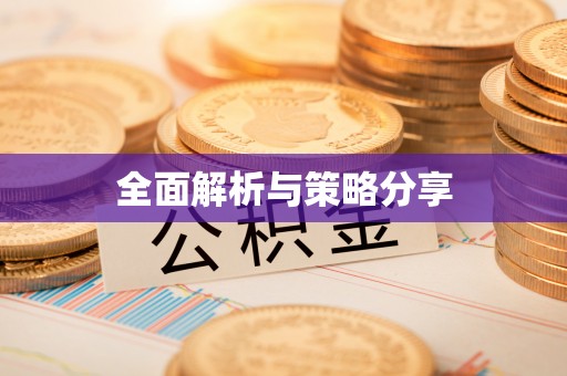 绥棱全面解析与策略分享
