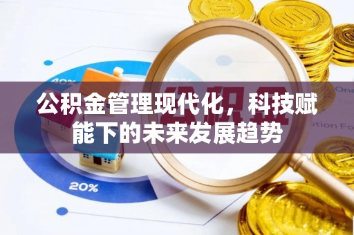 绥棱公积金管理现代化，科技赋能下的未来发展趋势