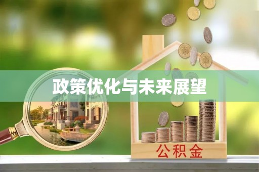 绥棱政策优化与未来展望