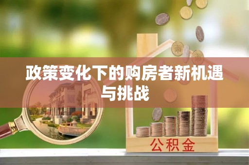 绥棱政策变化下的购房者新机遇与挑战
