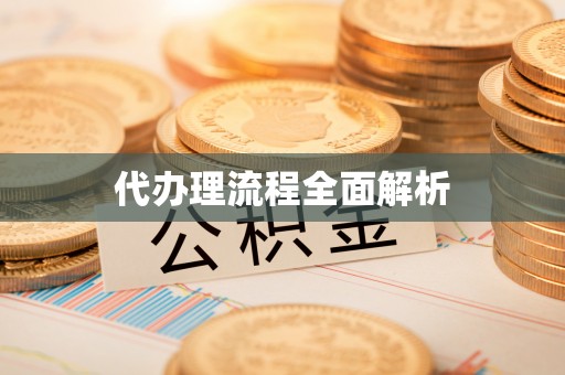 绥棱代办理流程全面解析
