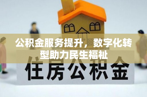 绥棱公积金服务提升，数字化转型助力民生福祉
