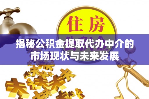 绥棱揭秘公积金提取代办中介的市场现状与未来发展