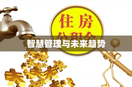 绥棱智慧管理与未来趋势