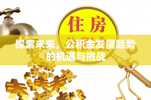绥棱探索未来，公积金发展趋势的机遇与挑战