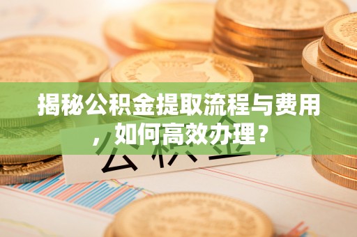 绥棱揭秘公积金提取流程与费用，如何高效办理？