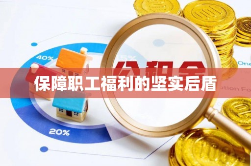 绥棱保障职工福利的坚实后盾