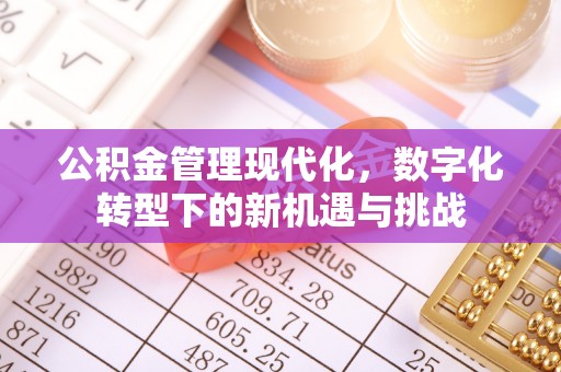 绥棱公积金管理现代化，数字化转型下的新机遇与挑战