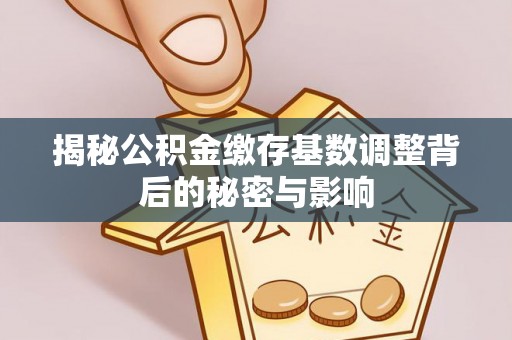 绥棱揭秘公积金缴存基数调整背后的秘密与影响