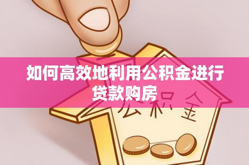 绥棱如何高效地利用公积金进行贷款购房