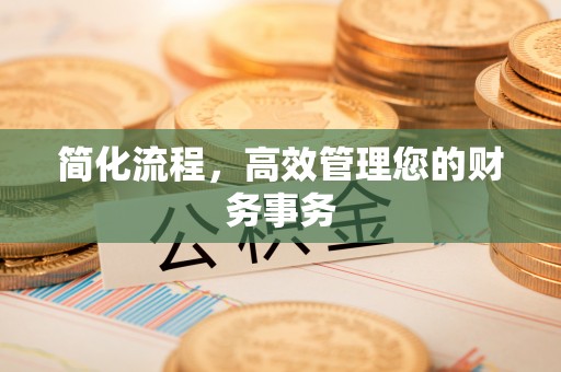 绥棱简化流程，高效管理您的财务事务