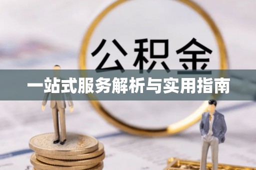 绥棱一站式服务解析与实用指南