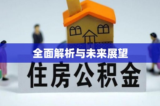 绥棱全面解析与未来展望