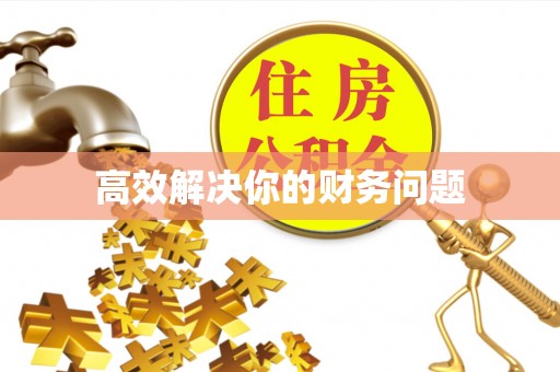 绥棱高效解决你的财务问题