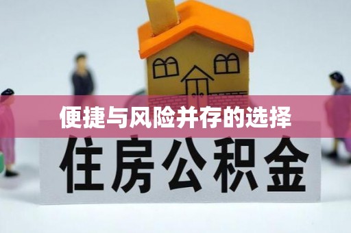 绥棱便捷与风险并存的选择