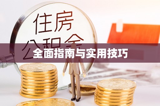 绥棱全面指南与实用技巧