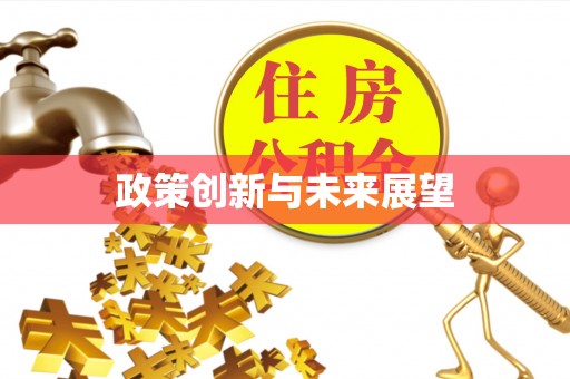 绥棱政策创新与未来展望