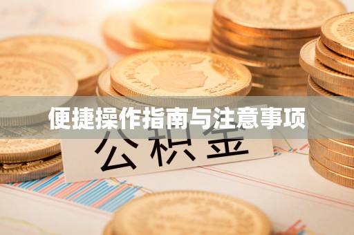 绥棱便捷操作指南与注意事项