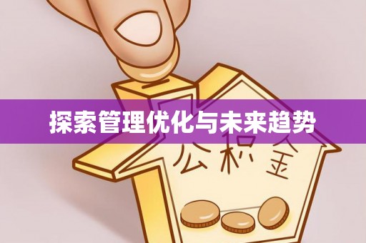 绥棱探索管理优化与未来趋势